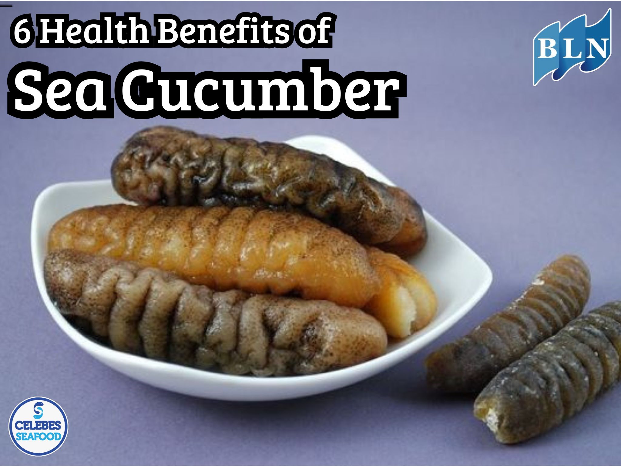 6 Health Benefits of Sea Cucumber and How to Process It